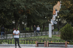 تنهاییِ همراهی