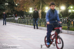 تنهاییِ همراهی