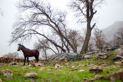 اندیکا، شگفتی در دل کوه