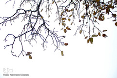 اندیکا، شگفتی در دل کوه