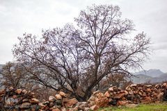 اندیکا، شگفتی در دل کوه