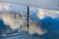 آسمان تهران از فراز تپه‌های عباس آباد