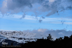 آسمان تهران از فراز تپه‌های عباس آباد