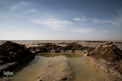 خشک شدن تالاب بین المللی گاوخونی