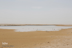 خشک شدن تالاب بین المللی گاوخونی