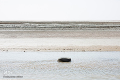 خشک شدن تالاب بین المللی گاوخونی