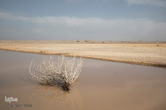 خشک شدن تالاب بین المللی گاوخونی