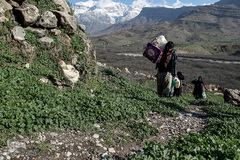 محمد در روستا با نگهداری دام امرار معاش می‌کند، اما کفاف زندگی او را نمی‌دهد، او نیز مجبور است برای امرار معاش از کمک‌های کمیته امداد استفاده کند.