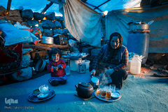 مریم مولایی از اهالی روستای گریوه است. دختر او به علت بیماری ژنتیکی معلولیت جسمانی دارد. این روستا به درخواست ساکنین از موقعیت عشایری خارج شده و کد روستا دارد، اما ساکنین از عدم کمک‌رسانی برای حل مشکلات آن گلایه دارند. مردم این روستا برای شرب مجبور به جمع‌اوری آب باران هستند.  نزدیکترین رودخانه به این روستا ۲۰کیلومتر فاصله دارد.