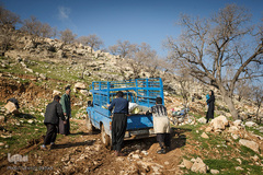 روستای کریوه در ۶۵ کیلومتری لالی قرار دارد، مسیر این روستا بسیار صعب العبور است. اردشیر مولایی از اهالی روستای گریوه می‌گوید: «از شب گذشته کودکمان بیمار شده و به علت بسته بودن جاده نمی‌توانیم تا خانه بهداشت برویم.»
