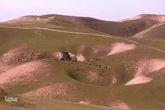 زیارتگاه خالد نبی