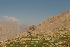 طبیعت شگفت انگیز خوزستان