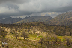 طبیعت شگفت انگیز خوزستان