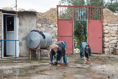 علی و فاطمه قنبری، ۲۶ و ۲۴ساله به صورت مادرزادی فلج هستند و هردو توانایی راه رفتن را ندارند.