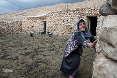 آمنه گاهی اوقات در خانه آشپزی می‌کند و از گوسفندان تازه متولد شده نگه داری می‌کند.