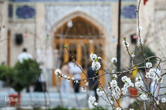 مسجد و مدرسه علمیه معّیرالممالک