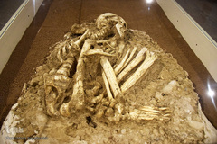 موزه آثار باستانی در شوش