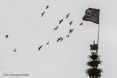 آستان امامزاده حیدر بن موسی جعفر الکاظم(ع) در بهبهان