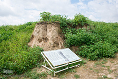 محوطه باستانی کاخ آپادانا و قلعه شاهی در شوش