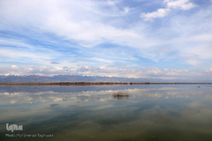 ⁨تالاب صالحیه و ورود فلامینگو ها به استان البرز