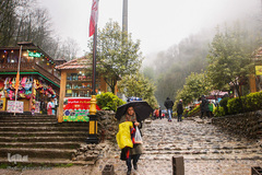 جنگل «قلعه رودخان»