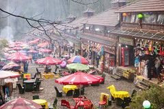 جنگل «قلعه رودخان»