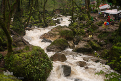 جنگل «قلعه رودخان»