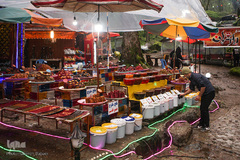 جنگل «قلعه رودخان»