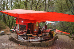 جنگل «قلعه رودخان»