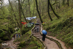 جنگل «قلعه رودخان»