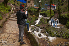 جنگل «قلعه رودخان»