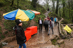 جنگل «قلعه رودخان»