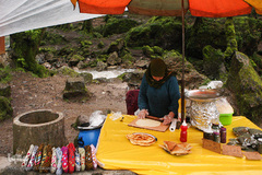 جنگل «قلعه رودخان»