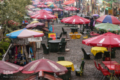 جنگل «قلعه رودخان»