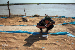 هوفل علی‌آباد گرفتار در سیل