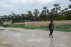 سلمان در راه مسیر بازگشت از گاوداری به خانه است. او مسیر دو کیلومتری گاوداری تا خانه را پیاده می رود.