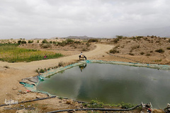 فاجعه انسانی در یمن