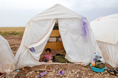 حکایت خانه‌های ناامن