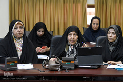 هم اندیشی معصومه ابتکار، معاون رییس جمهور با مشاوران امور زنان دستگاه ها و نهادهای مختلف