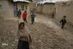 70.8 میلیون نفر انسان در سال ۲۰۱۸ آواره شده‌اند.