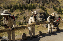 پل علفی؛ آخرین بازمانده «اینکاها»