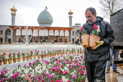 شاهچراغ؛ چراغ روشن ایران