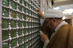 زندگی در کنار بارگاه کریمه اهل بیت(س)