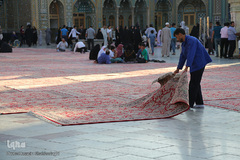 زندگی در کنار بارگاه کریمه اهل بیت(س)