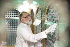 آیین غبارروبی مضجع مطهر رضوی