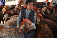 عید قربان در دیگر کشورها