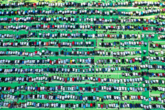 عید قربان در دیگر کشورها