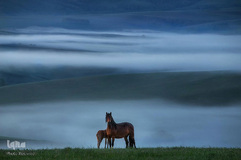تصاویر برگزیده هفته نشنال‌جئوگرافیک