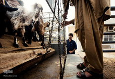 تصاویر برگزیده هفته نشنال‌جئوگرافیک