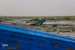 روستای اربابی (تخت عدالت)